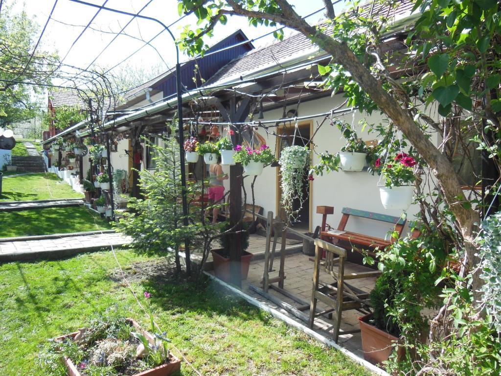 Pension Bassen Bazna Bagian luar foto