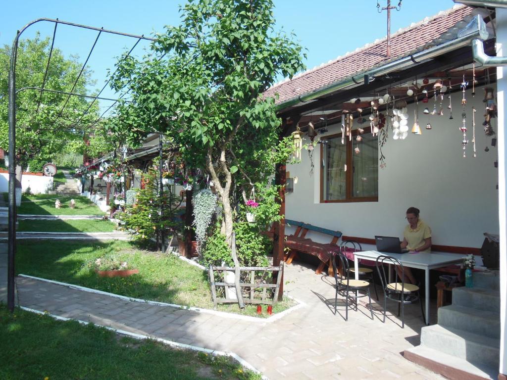 Pension Bassen Bazna Bagian luar foto