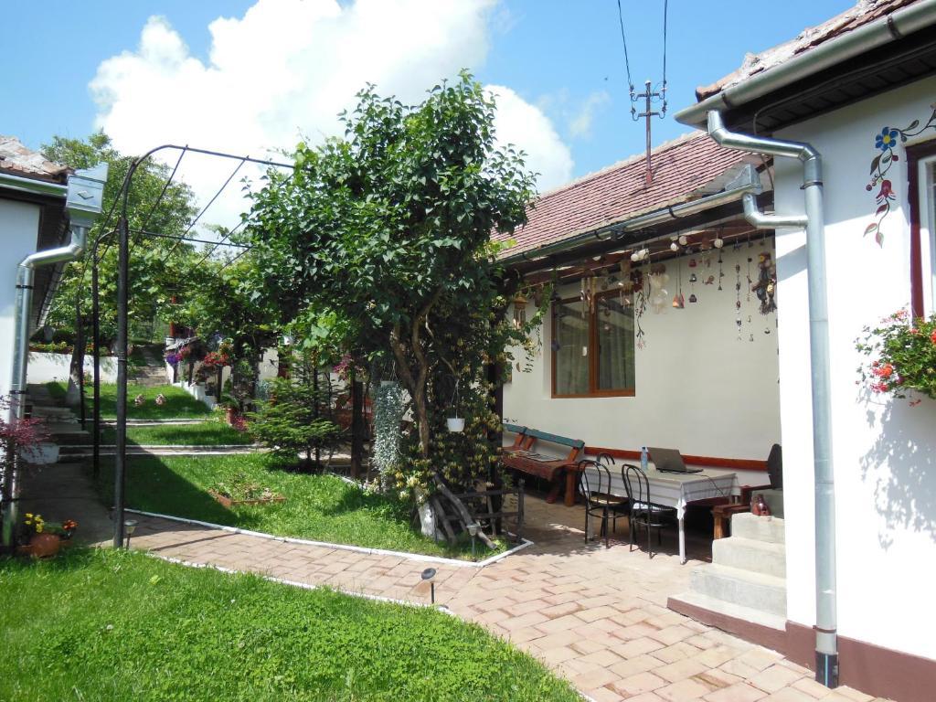 Pension Bassen Bazna Bagian luar foto
