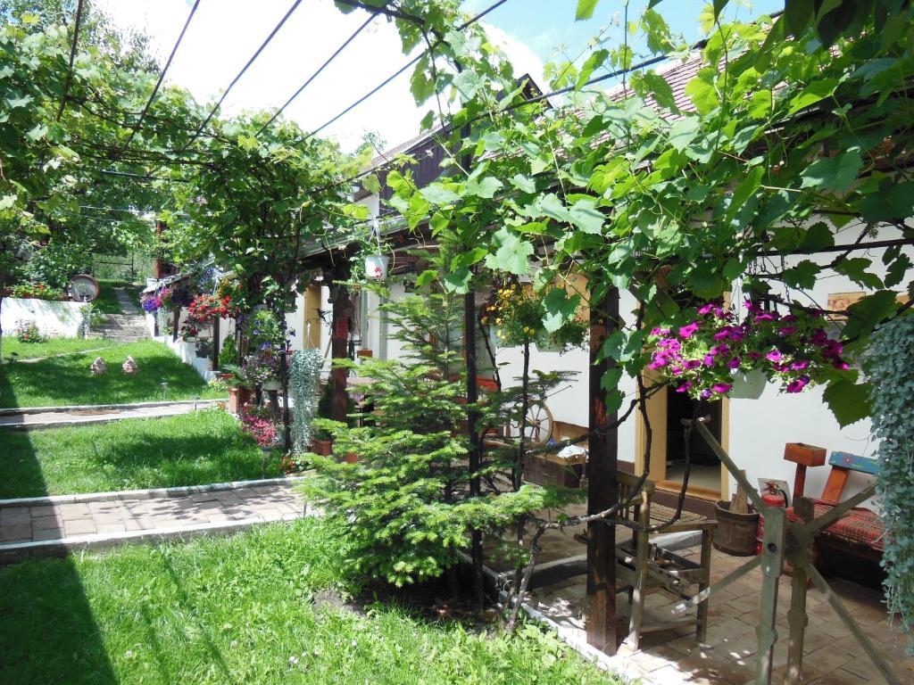 Pension Bassen Bazna Bagian luar foto