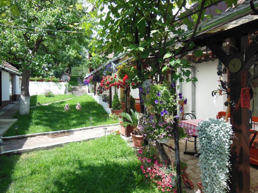 Pension Bassen Bazna Bagian luar foto