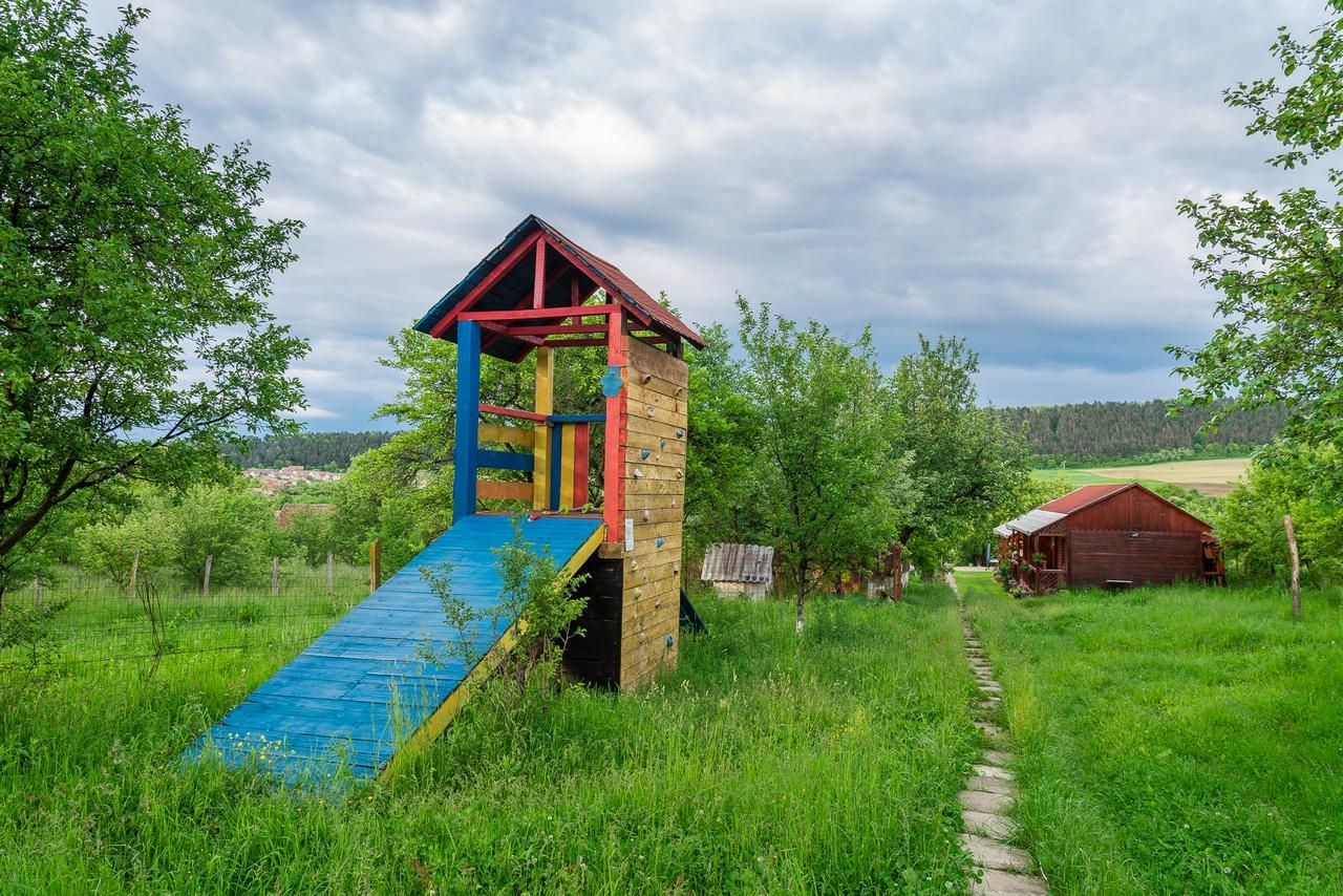 Pension Bassen Bazna Bagian luar foto