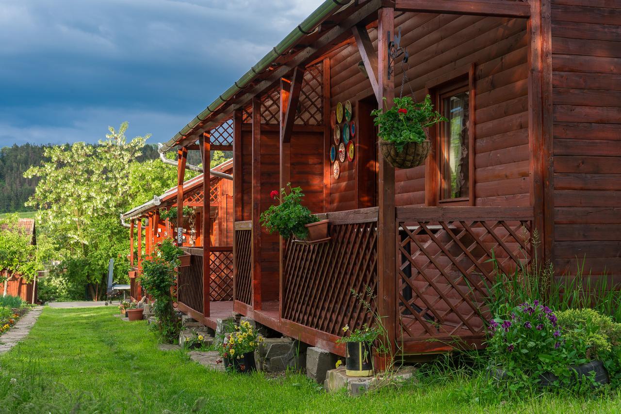 Pension Bassen Bazna Bagian luar foto