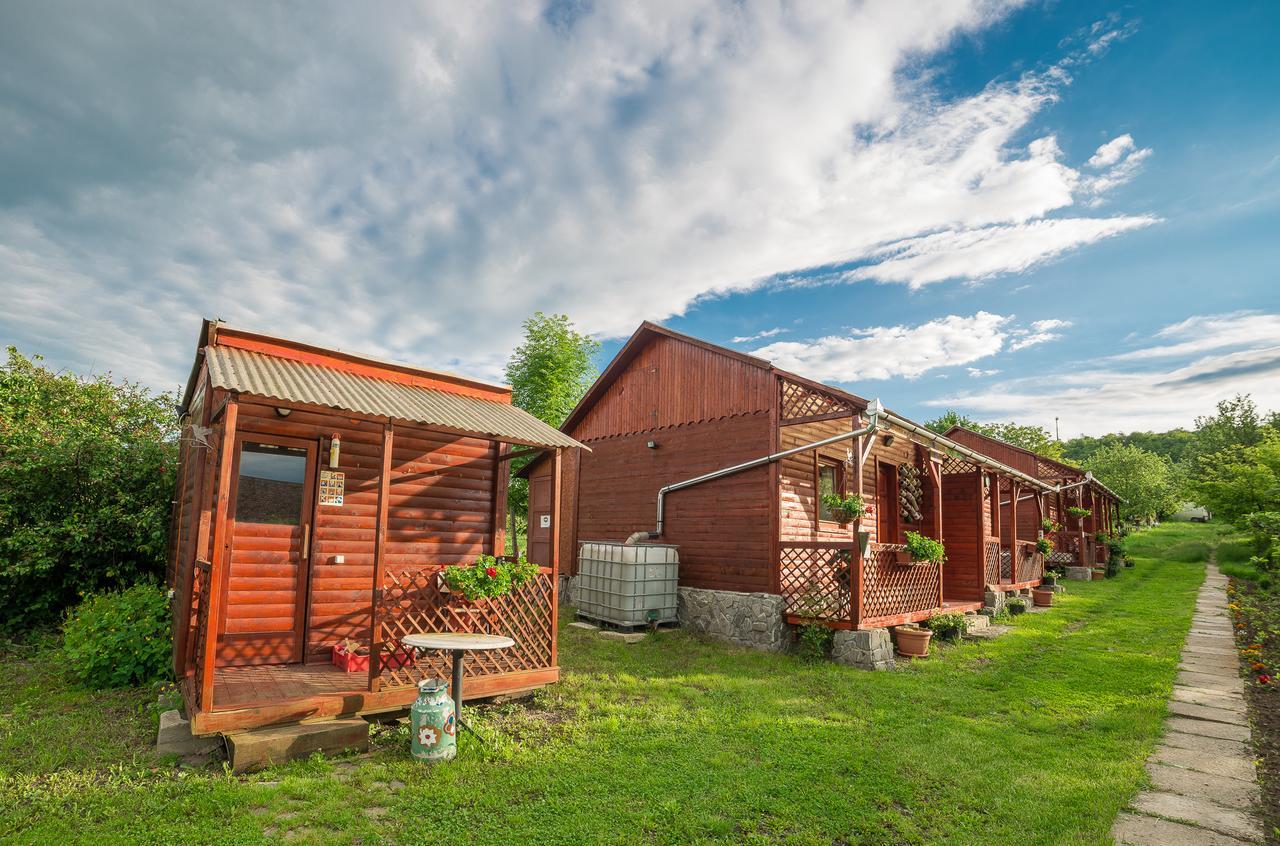 Pension Bassen Bazna Bagian luar foto