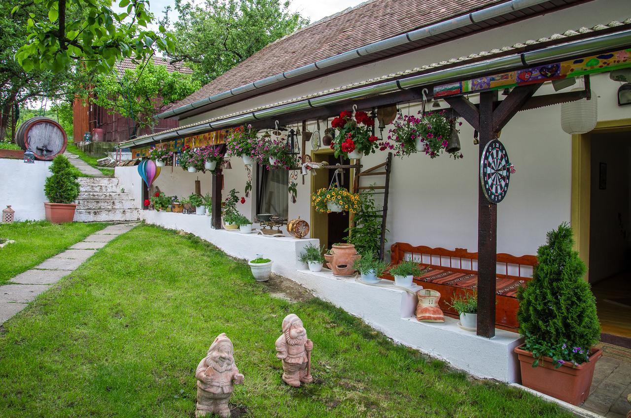 Pension Bassen Bazna Bagian luar foto