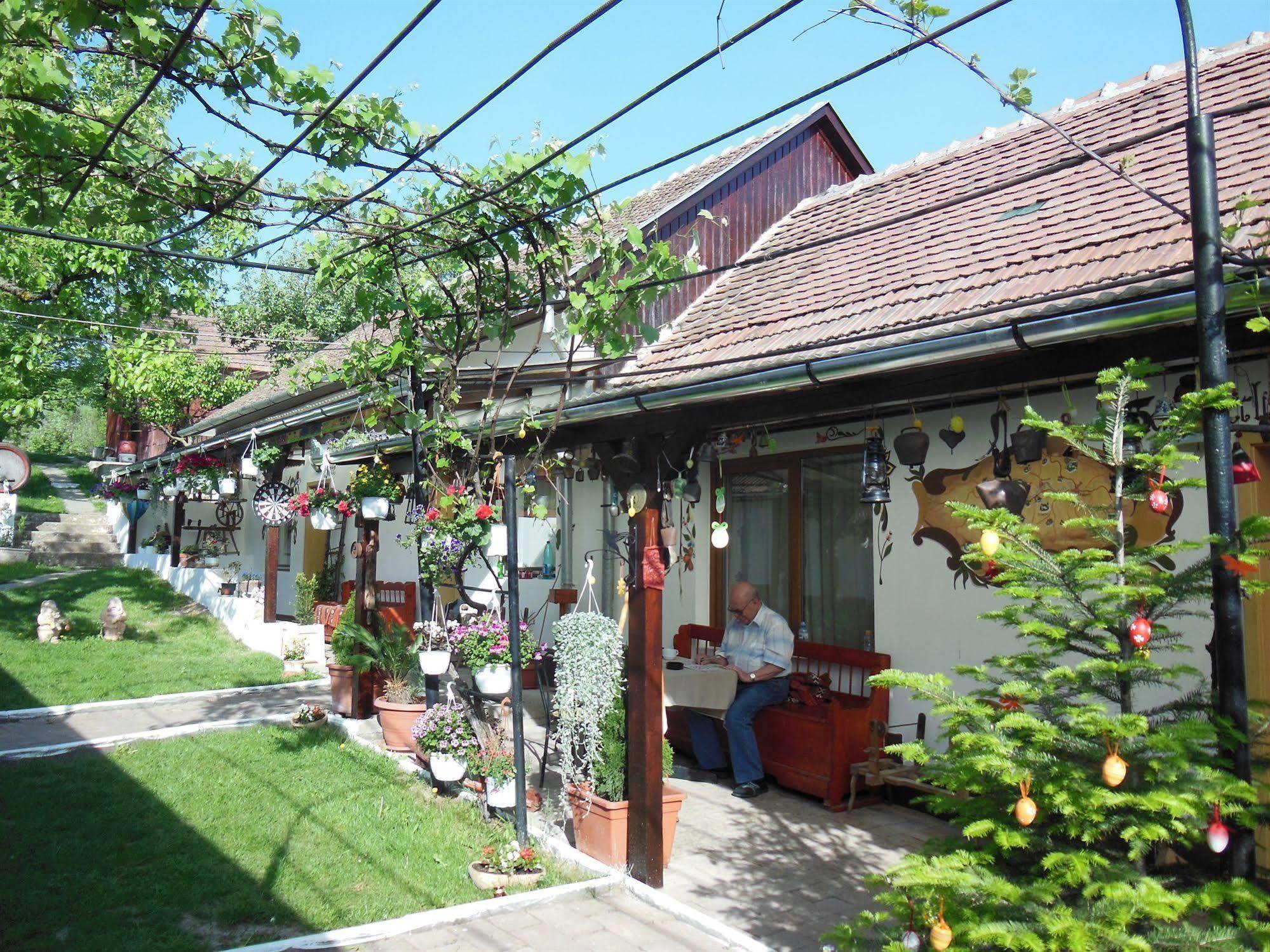 Pension Bassen Bazna Bagian luar foto